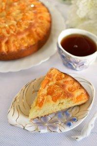 Pirog s mandarinami Solnechnyy 2