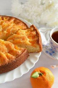 Pirog s mandarinami Solnechnyy 1