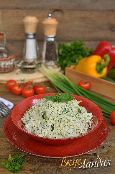Kapustnyy salat so svezhim ogurtsom 1