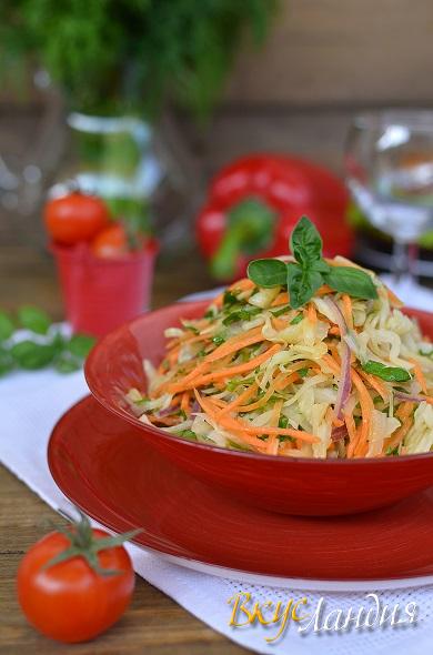 Salaty Kapustnyy salat Vitaminnyy 1