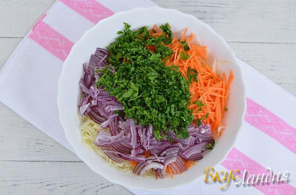 Salaty Kapustnyy salat Vitaminnyy master-klass 8