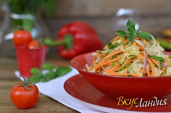 Salaty Kapustnyy salat Vitaminnyy