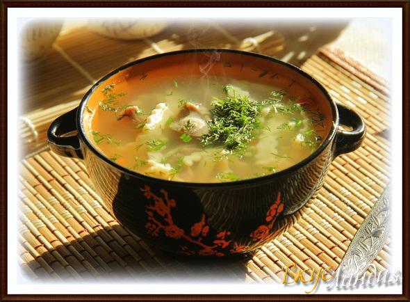Суп с домашней лапшой и куриными желудочками