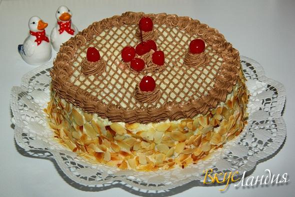 Торт Жозефина